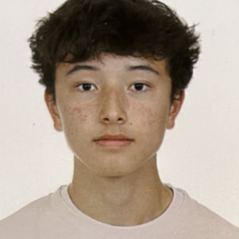 JAUME FERRER LEE