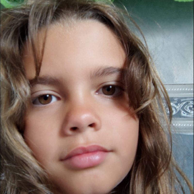 ELSA DIAZ SANTIAGO