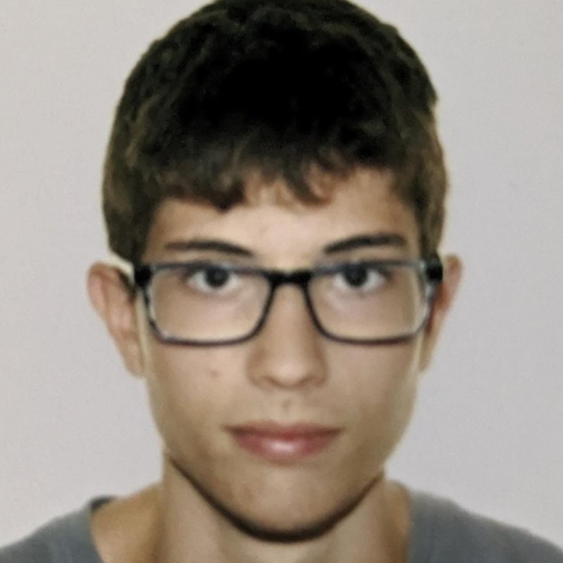 HECTOR  DEL CASTILLO ALVAREZ