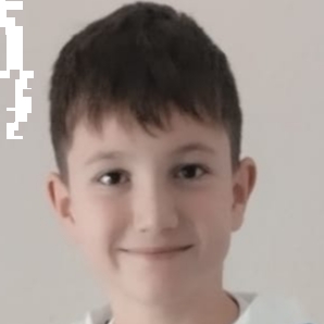 RAUL GABRIEL MANOILA