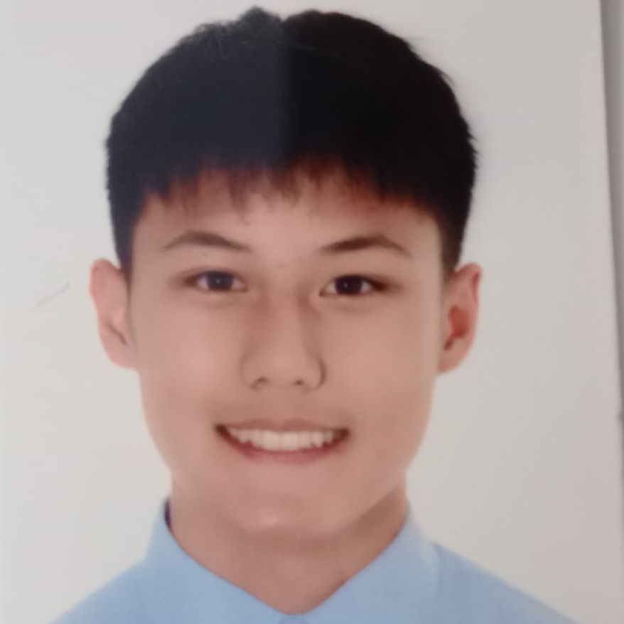 HENRY ZIXIANG GAO WANG