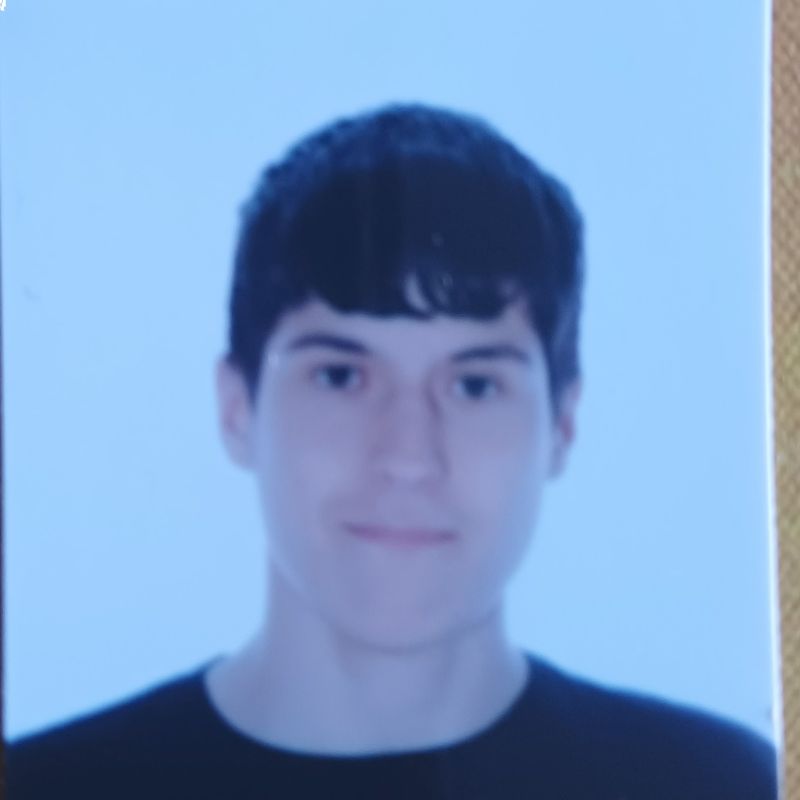 SERGIO RECENA VICENTE