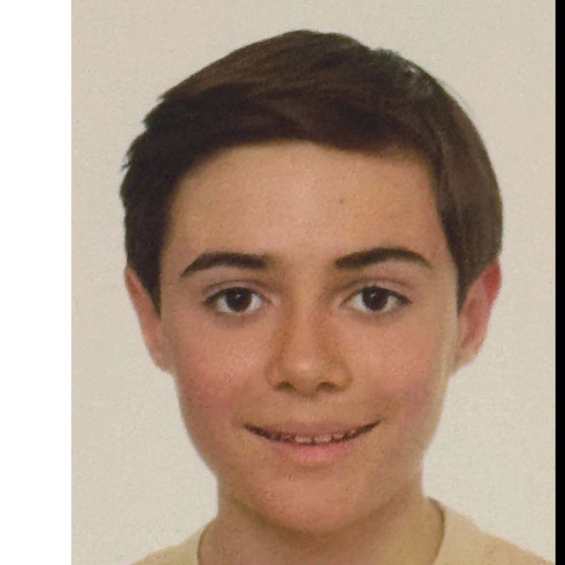 ROC PERARNAU MARTINEZ