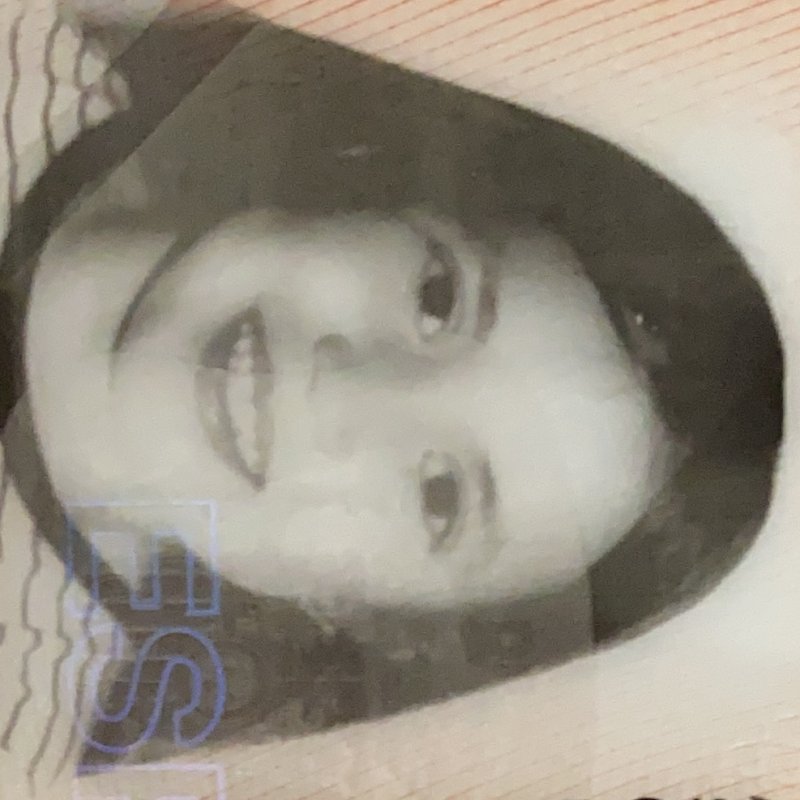 IRENE SANTIAGO GRIJOTA