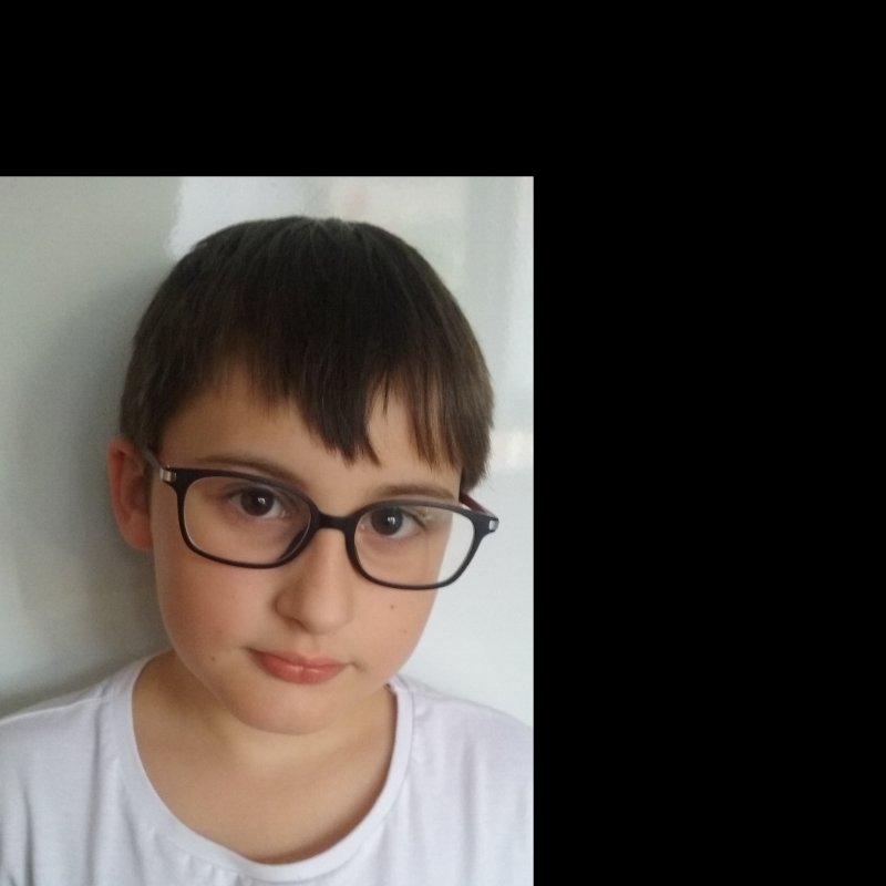 MIGUEL HERNANDEZ MARTINEZ-LOSA