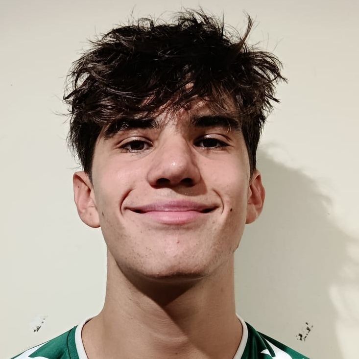 MARIO FERNANDEZ VICENTE