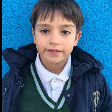 MAURO GOROSTIAGA CASTELO