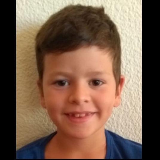 ARNAU COSIN LLUCH