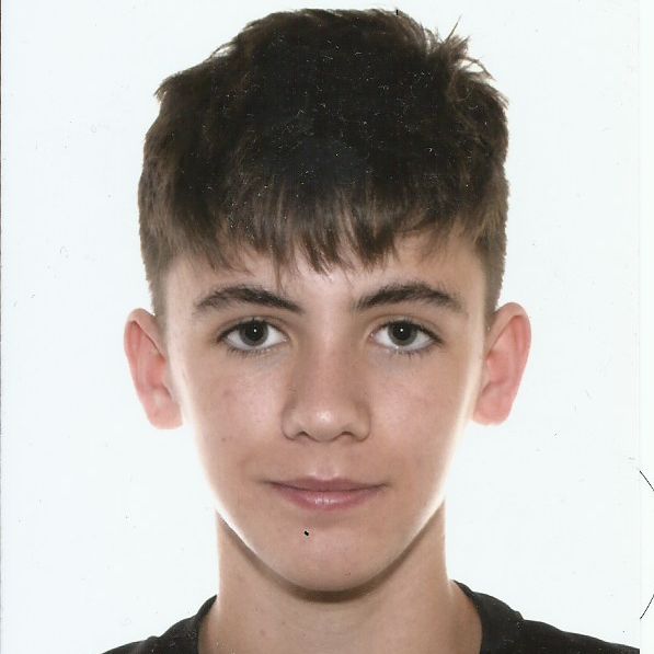 DIEGO MATEOS DEL BARRIO