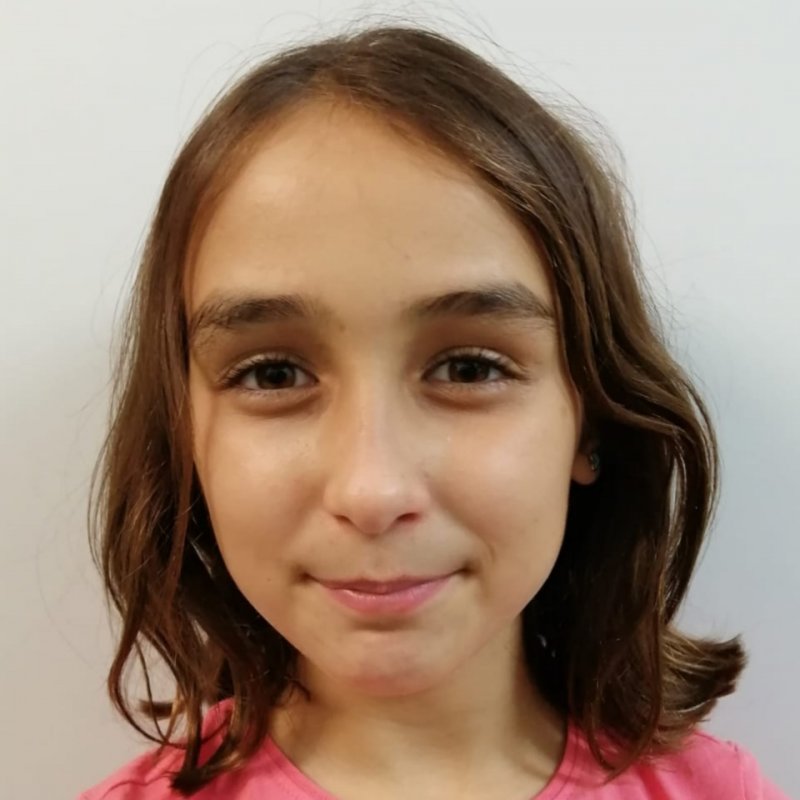 ELSA CASTILLO SOSPEDRA