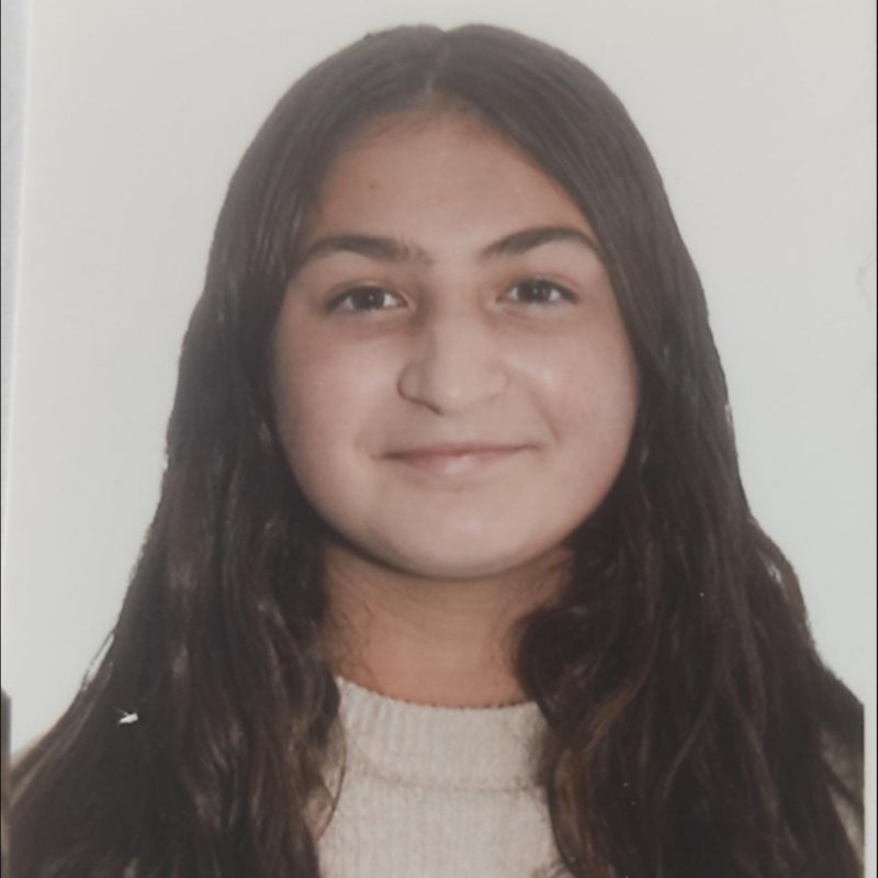 AZAHARA DEL PINO FEBLES SUAREZ