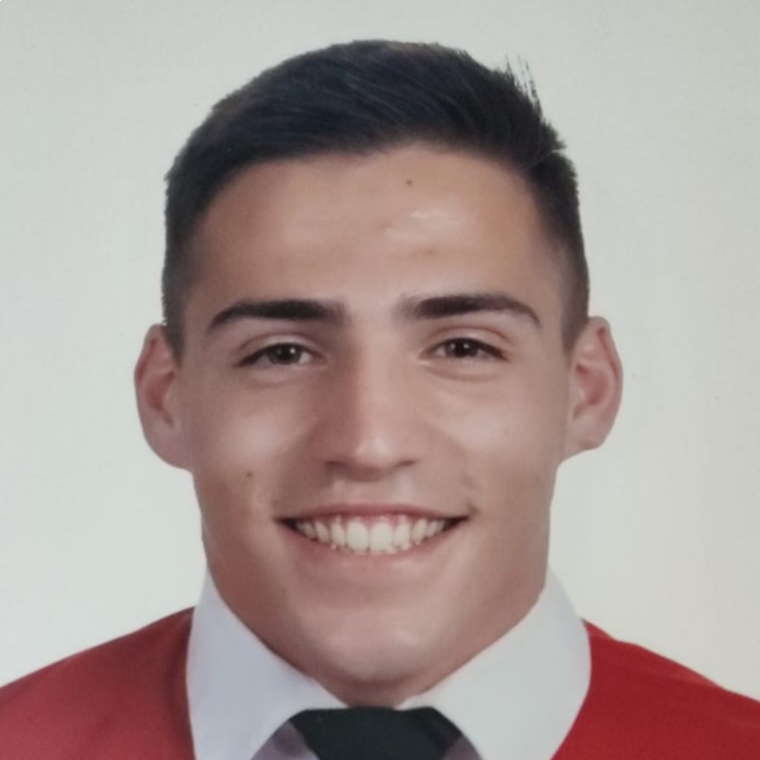 RAFAEL SARRION MARTIN