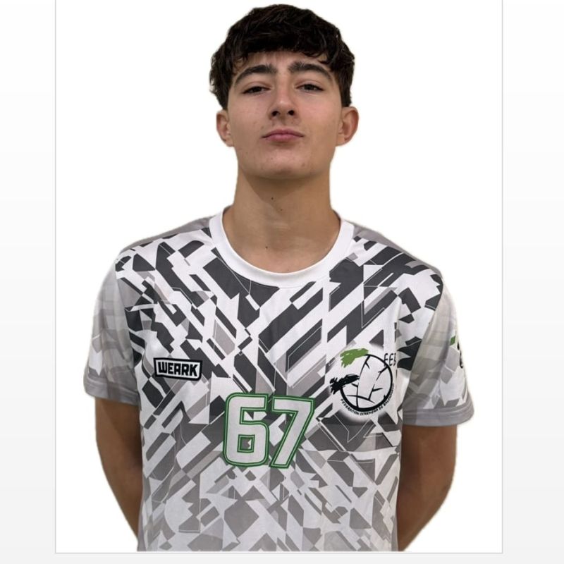 PABLO  MENDIANO MARTINEZ