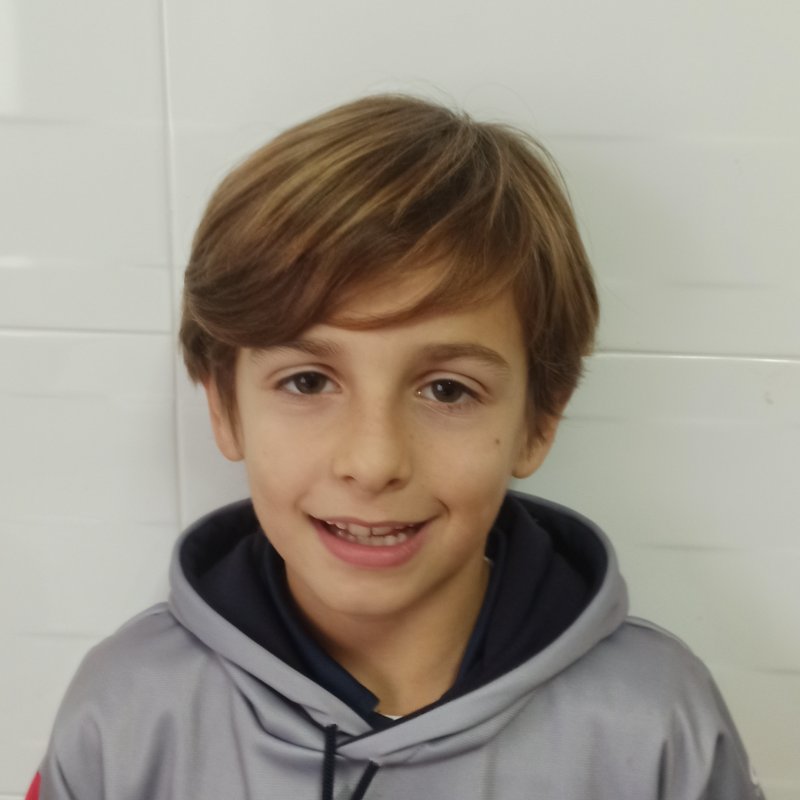 MARIO  PELLON FERNANDEZ 