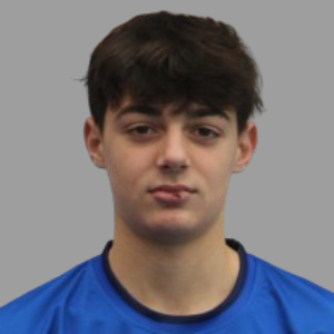 LUIS DESANTES DE LLANO