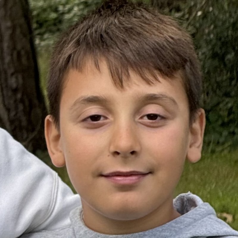 GABRIEL GOMEZ OBREGON