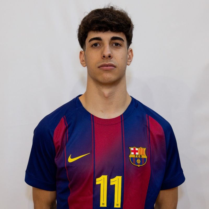 ANSELMO COLLADO CARRION