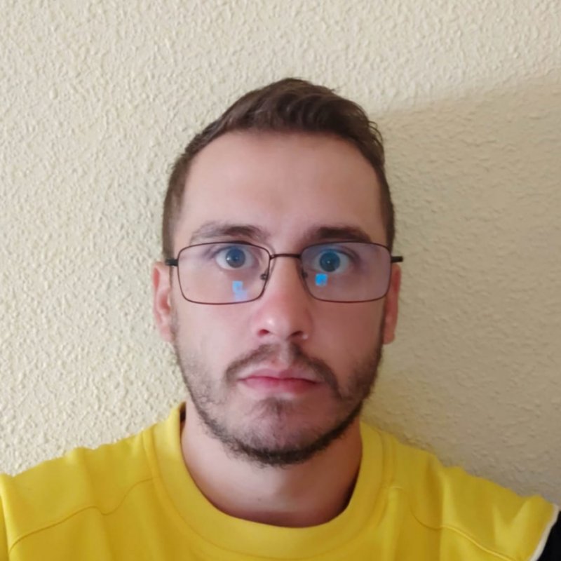 RAUL SANCHEZ MARTINEZ