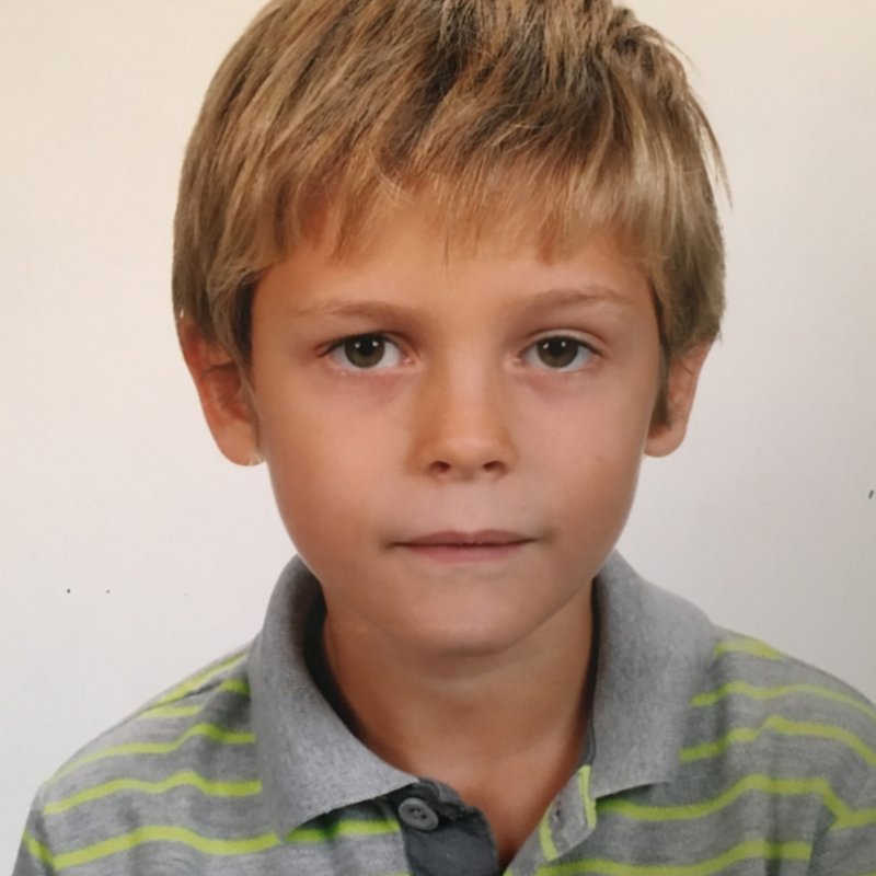 ROGER DALMASES ROMEU