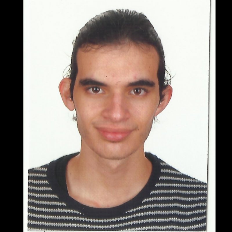 FRANCISCO GINES  SANCHEZ MARTINEZ