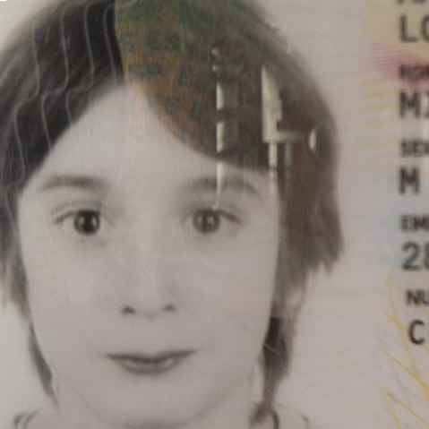 MIGUEL MAÑEZ LOZANO