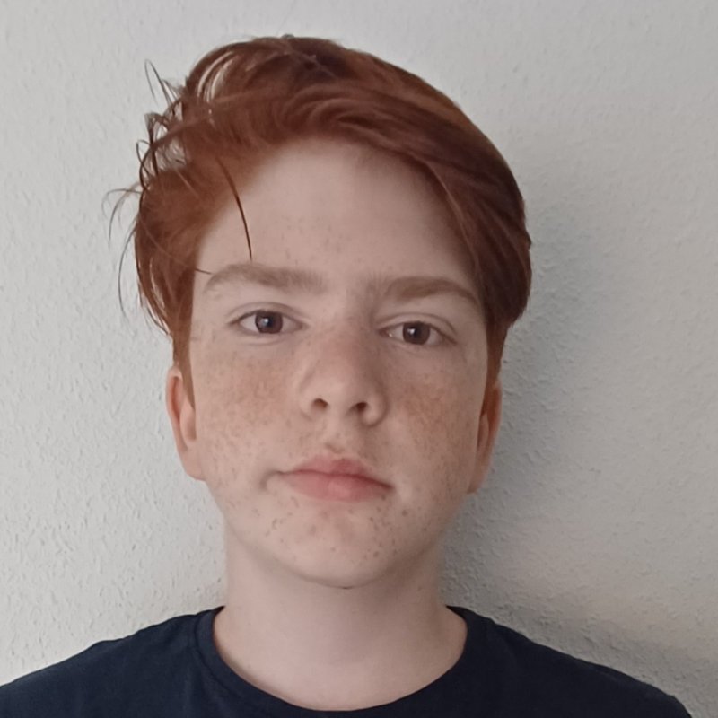 ISEN MOLERO VESELINOV