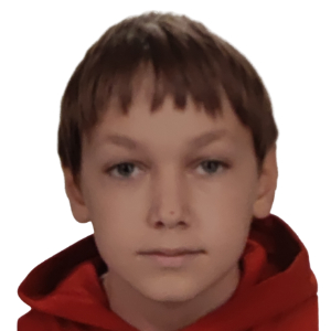 ANDREI RAZVAN ION
