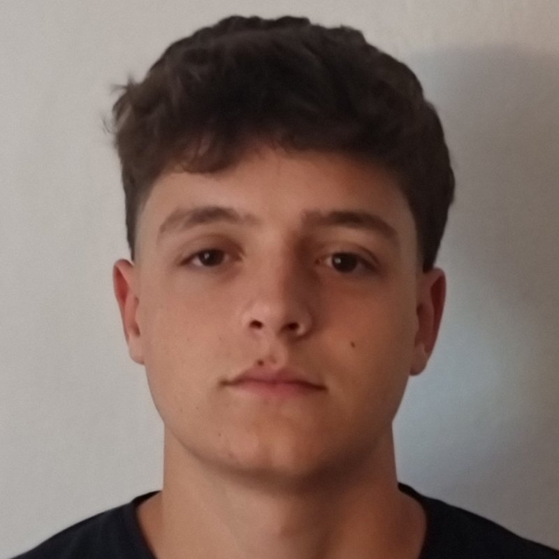 FEDERICO BAUSACH FLORES