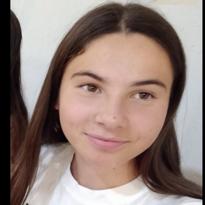 DIANA ELENA  GHERGHEL