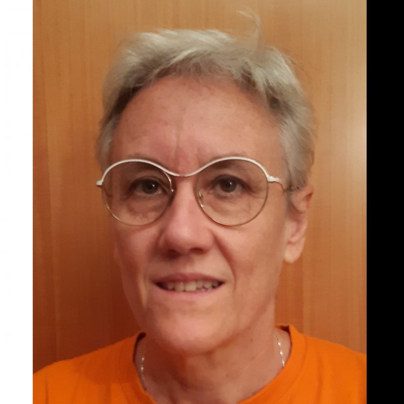 MARIA NIEVES FOIX OÑA