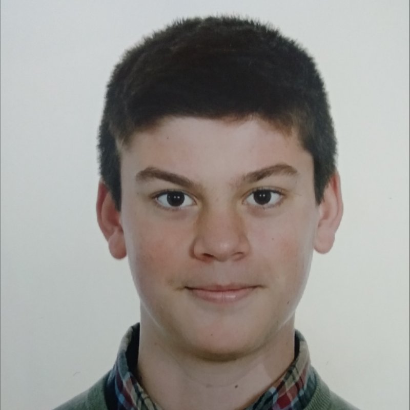 PEDRO  HIGUERA ROLDAN 