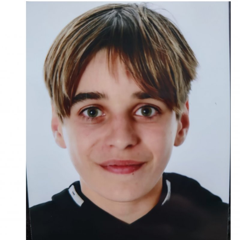 ARNAU PONZ PINILLA