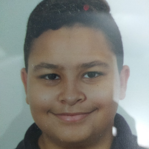 JULIO GOMES DE ARAUJO