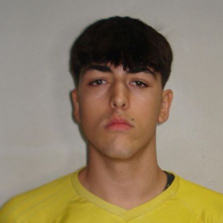 DENIS LORENZO ALVAREZ