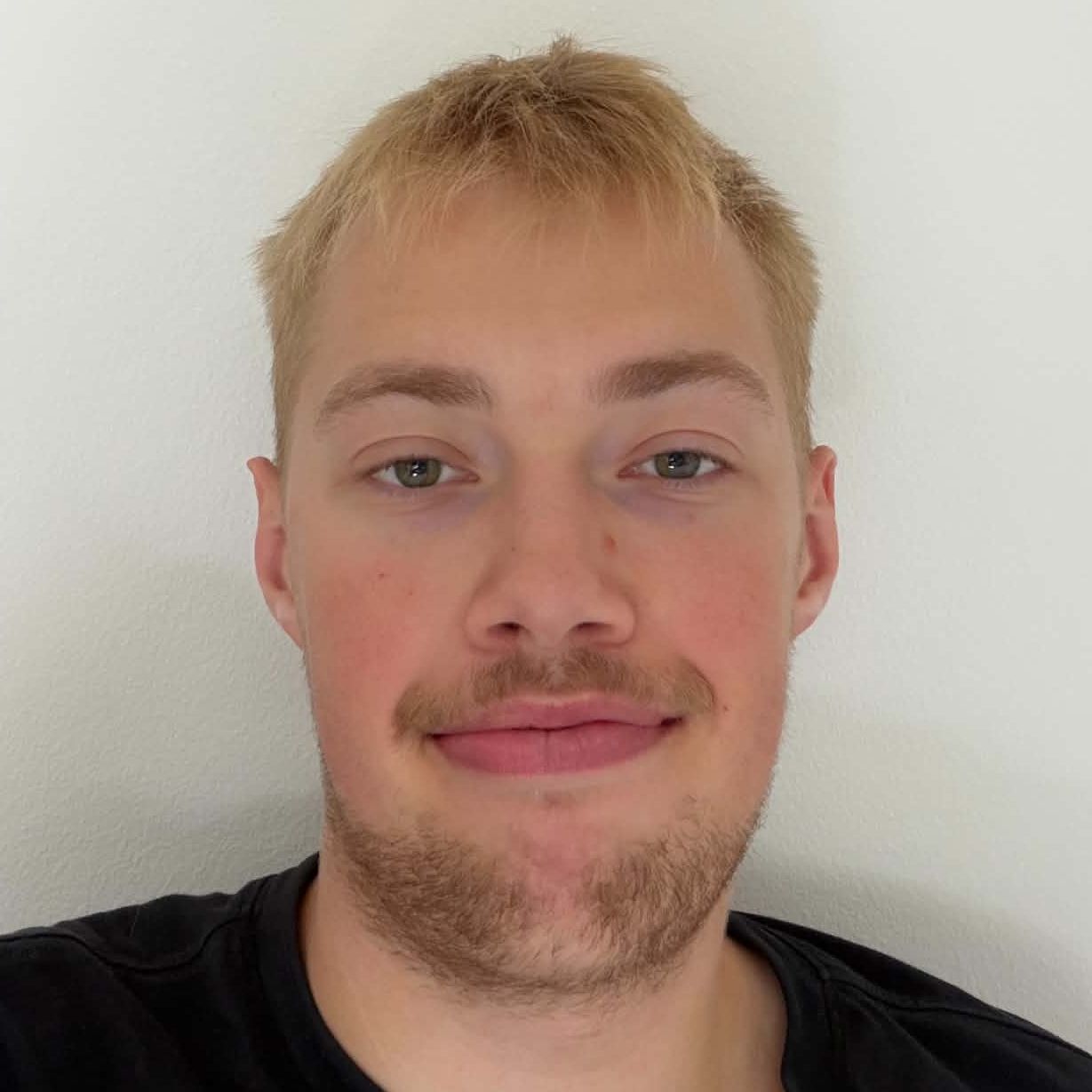 HENDRIK  KOKS