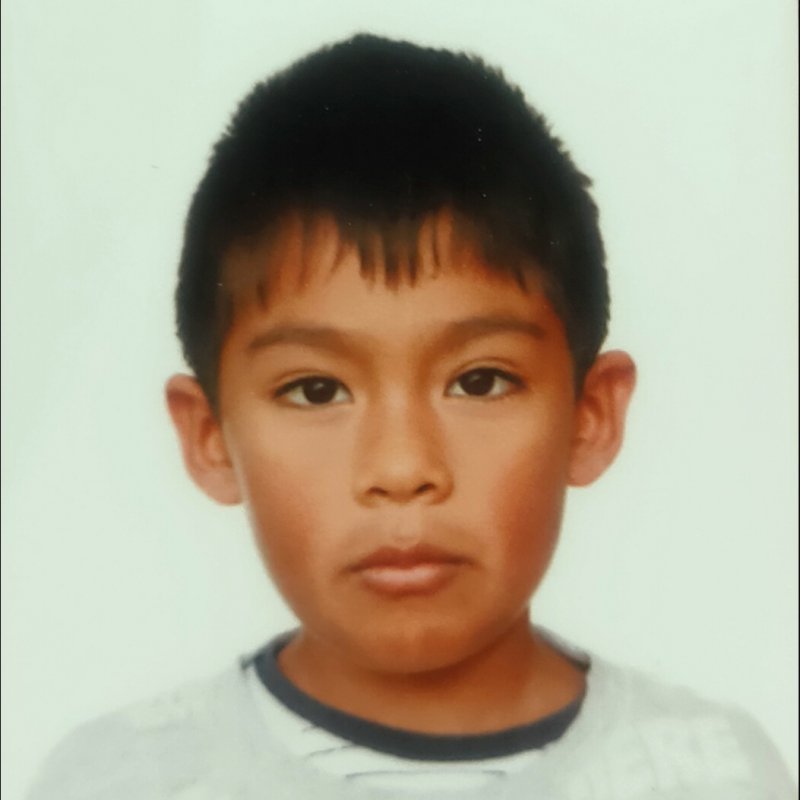 ELMER ANTONIO APAZA FLORES