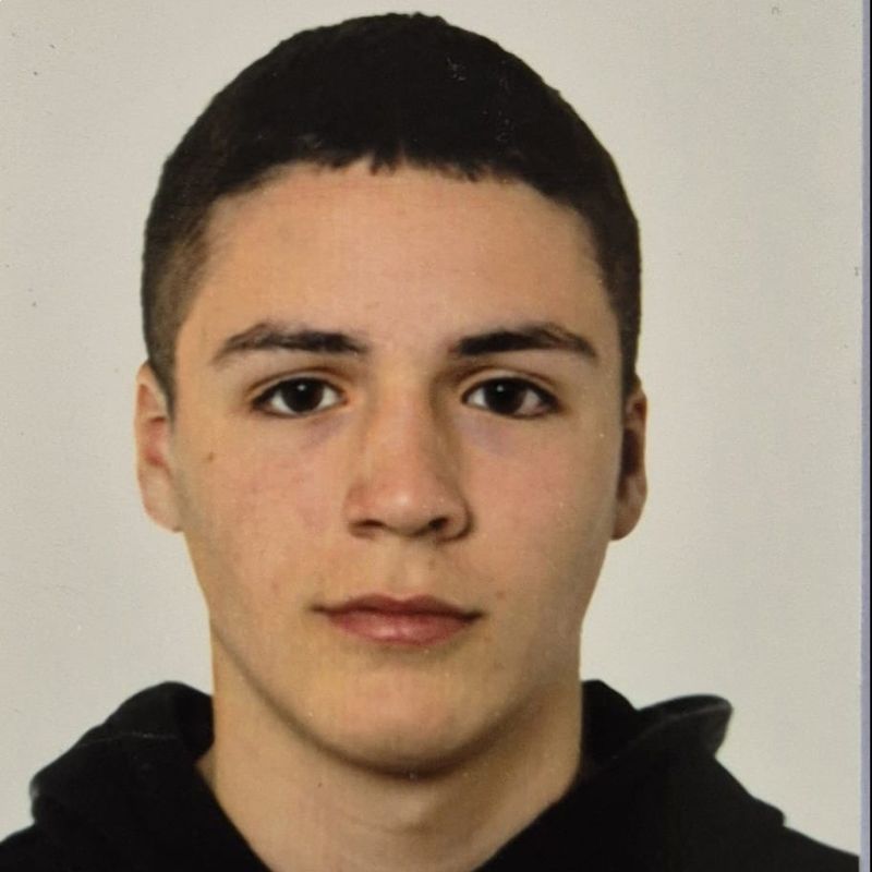 ALEX ZAMARRIPA MOLINA