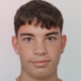 GONZALO PINO RAMIREZ