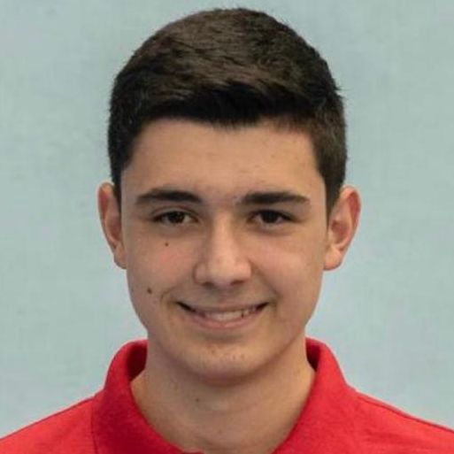 ALEX MARTINEZ VASILSKI