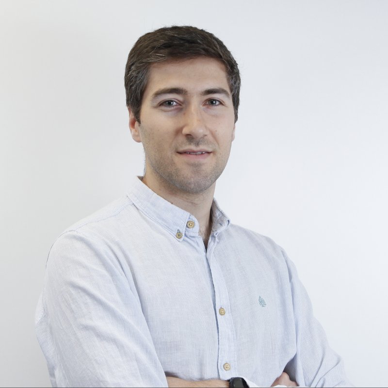 FERNANDO DOMINGO MERINO