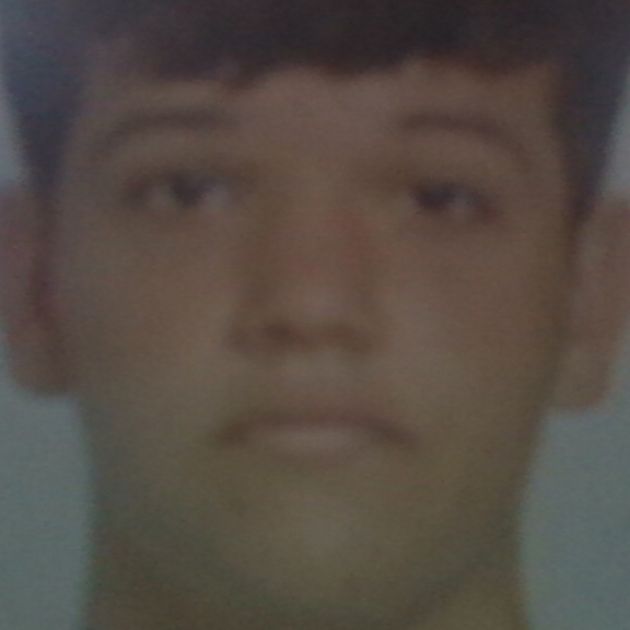 IANIS MARIO FRENTESCU