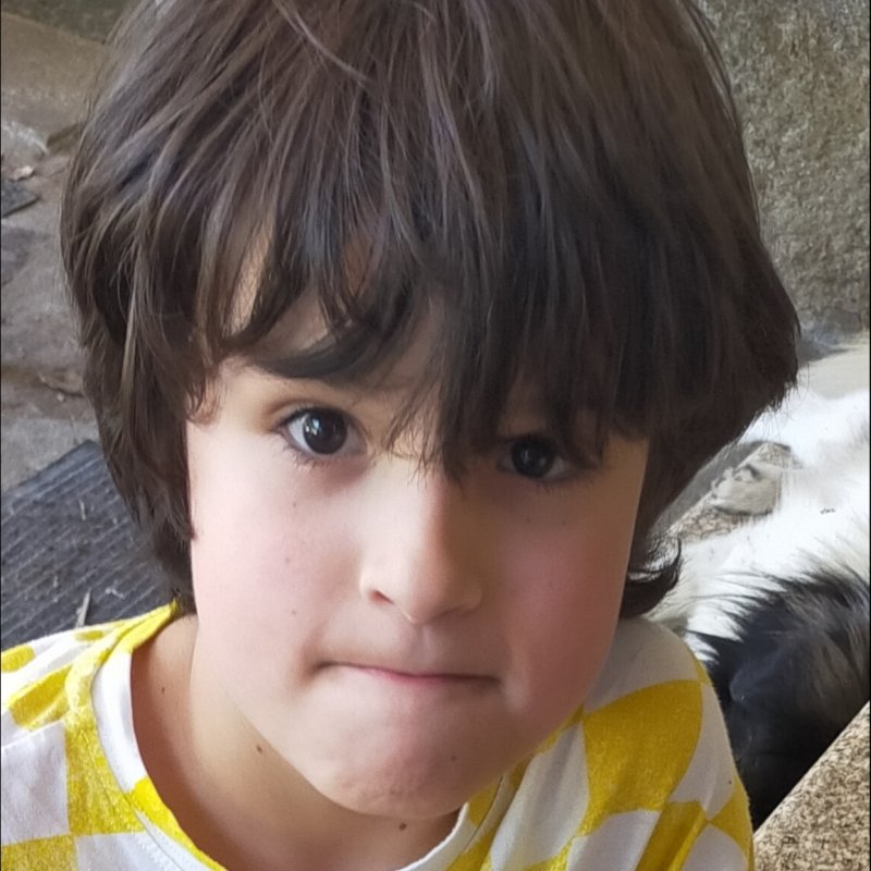 SANCHO BRIZ SAAVEDRA