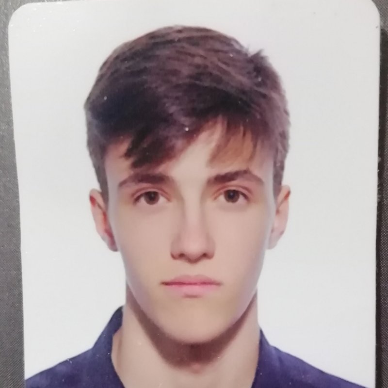 FRANCESC HERNANDEZ SAN RUPERTO