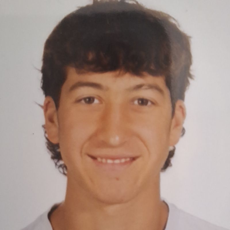 RAUL  SANCHEZ MENENDEZ 