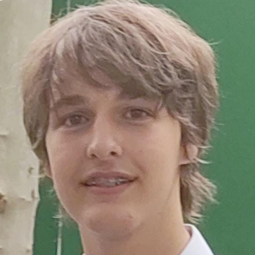 ROMAN VIÑAU PILACES