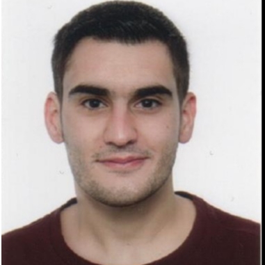 JAVIER ALVAREZ FERNANDEZ