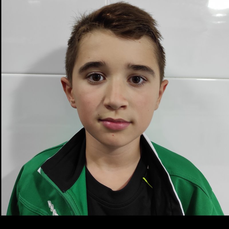 DIEGO  BARCENA FRAILE