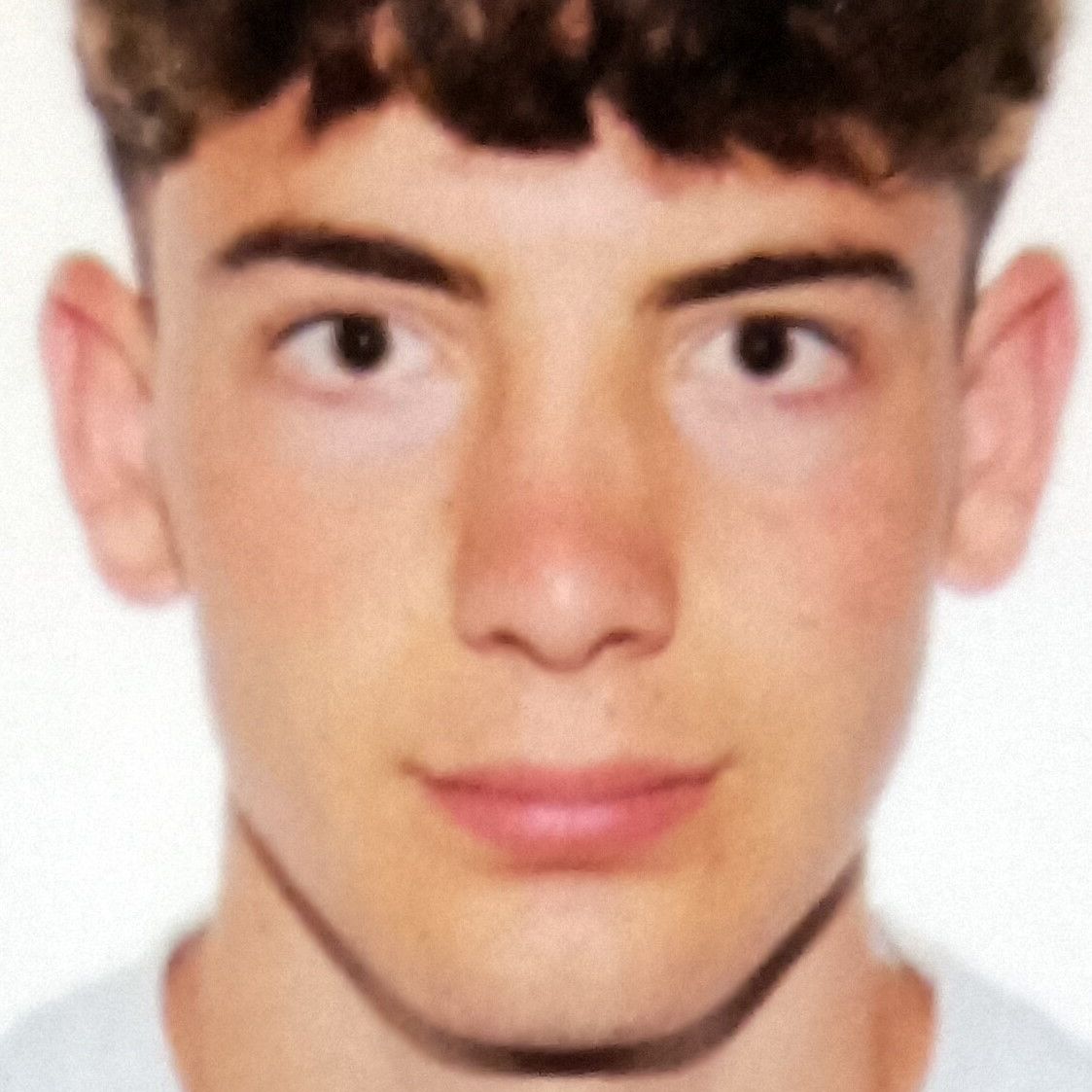 FERNANDO HIGUERA LAVIN
