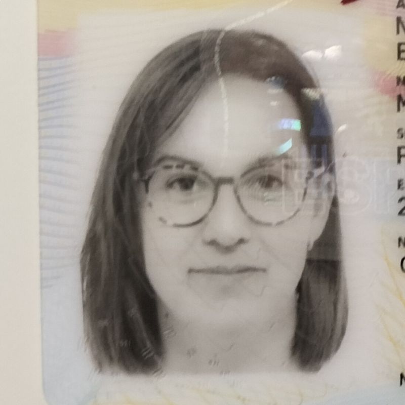 MARIA LLUISA  NAVARRO ESPINOSA