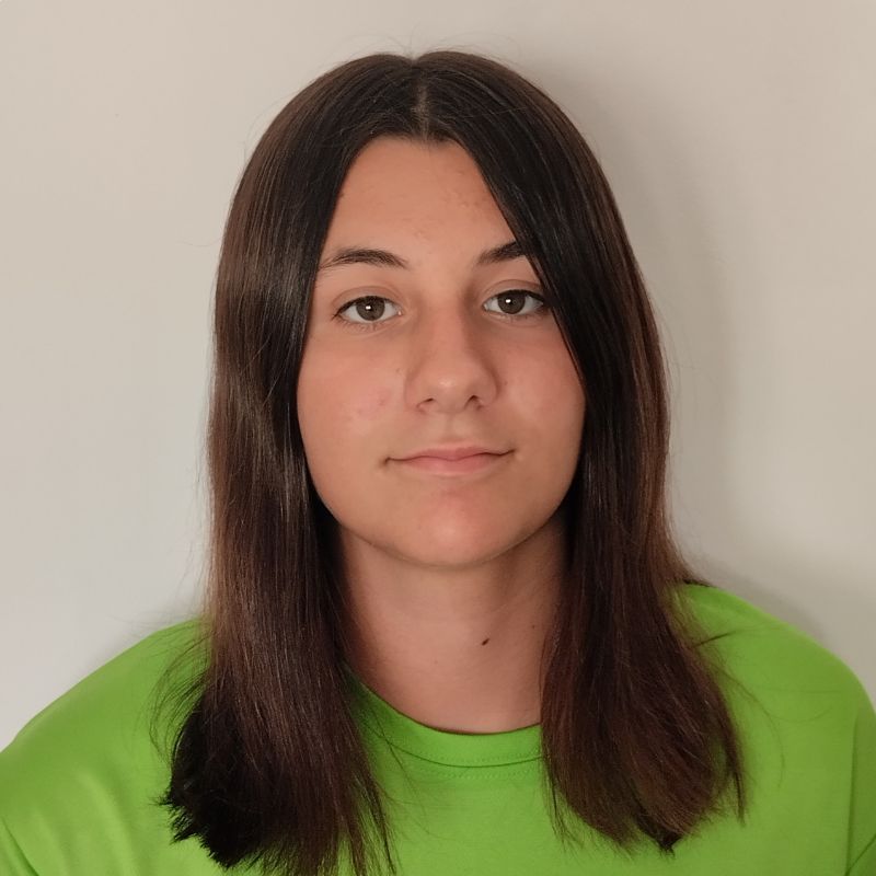 ALICIA  PALLARES CHAVARRIA